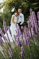 portrait of the bride and groom in the park, the bride and groom are hugging and tenderly kissing. A lavender bush in the foreground. Wedding walk in the park. Long train of the dress photo