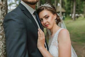 A wedding couple is enjoying the best day of their lives against the backdrop of tall trees. Portrait of brides in love in nature photo