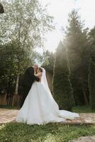 Wedding portrait. The groom kisses the bride. The bride in an elegant dress, the groom in a classic suit against the background of green trees. Gentle touch. Summer wedding. A walk in nature photo