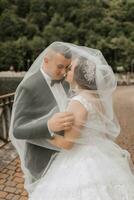 Boda retrato. un morena novia en un largo vestir y un novio en un clásico traje actitud debajo un velo, él Besos su en el mejilla. foto