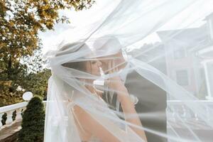 gorgeous happy luxurious brunette bride and elegant stylish groom standing under a veil photo