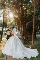 un hermosa novia en un de moda Boda vestir y el novio son abrazando en el parque a puesta de sol. un maravilloso joven novia es increíblemente contento. contento niña en su Boda día foto