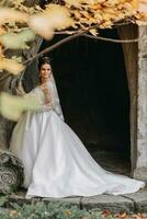 bride in autumn forest with butterflies around, wedding ceremony, side view. The bride on the background of yellowed autumn leaves photo