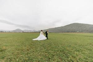 A stylish groom in a black suit and a beautiful bride in a white dress are walking in nature against the background of high mountains, holding hands. Wedding portrait of newlyweds in love. photo