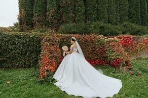 Beautiful bride against the background of autumn leaves and tall trees. Wide-angle photo of the bride in a dress with a long train