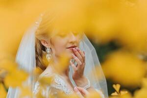 Portrait of a beautiful smiling bride. Autumn portrait of the bride. Yellow autumn leaves photo