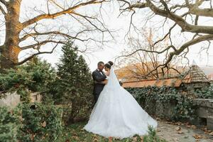 portrait of a happy wedding couple, bride and groom kissing in the autumn forest, park photo