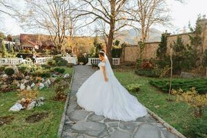 el novia retrato en el otoño bosque. novia en Boda vestir en natural antecedentes. Boda día. foto