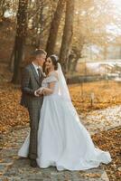 un fabuloso romántico recién casado Pareja es abrazando a puesta de sol en un otoño parque con hojas desde arboles en el césped foto