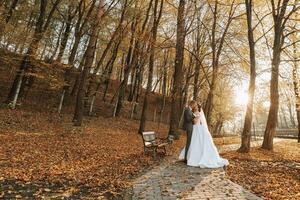 un fabuloso romántico recién casado Pareja es abrazando a puesta de sol en un otoño parque con hojas desde arboles en el césped. amplio ángulo foto