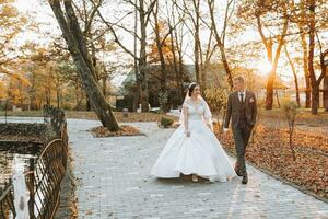 retrato de un contento Boda pareja, el novia y novio son caminando y besos en el otoño bosque, parque foto