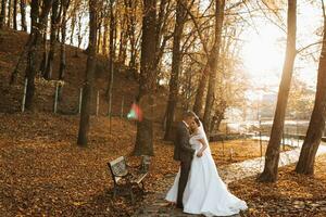 un fabuloso romántico recién casado Pareja es abrazando a puesta de sol en un otoño parque con hojas desde arboles en el césped. amplio ángulo foto