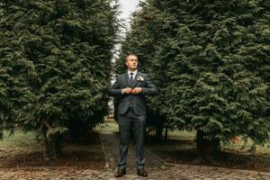 Handsome groom in suit and tie standing outdoors in park. Wedding portrait. A man in a classic suit photo