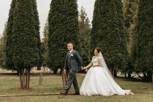 novio y novia caminando y participación manos en el parque entre alto verde arboles gran angular otoño foto. voluminoso Boda vestido. clásico traje de el novio foto