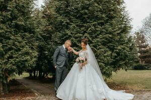 novio y novia caminando y participación manos en el parque entre alto verde arboles gran angular otoño foto. voluminoso Boda vestido. clásico traje de el novio foto