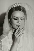 Close-up shot of an elegant brunette bride in a white dress posing under a veil close-up. Bride portrait, professional wedding makeup and hairstyle, bridal fashion. Beautiful bride in a veil photo