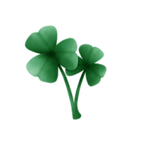 Samrock blad tekening st Patrick dag, Samrock klem kunst. png