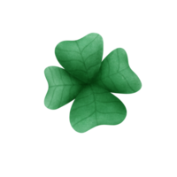 Samrock blad tekening st Patrick dag, Samrock klem kunst. png