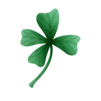 samrock feuille dessin st patrick jour, samrock agrafe art. png