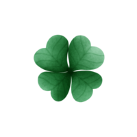 samrock feuille dessin st patrick jour, samrock agrafe art. png