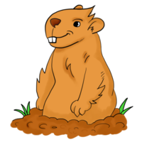 A Cute Groundhog Standing on the soil ground png