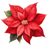 AI generated poinsettia flower isolated png