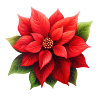 ai généré poinsettia fleur isolé png