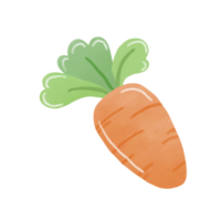 dessiner mignonne carotte png