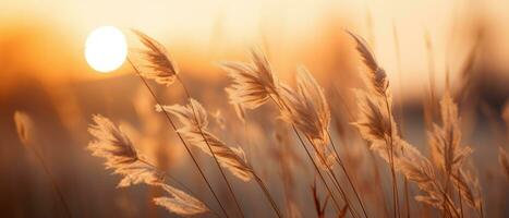 AI generated Tranquil sunset over field, tall grasses swaying. AI generative. photo