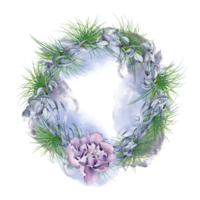 Frame of pine tree branches with blue leaves digital illustration. Fir branches and peony in the form of a circular frame. Wreath of spruce. Element for design invitation, wedding. png