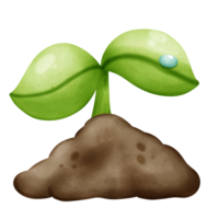 uma jovem verde plantar crescendo a partir de a chão. botânico ilustração do uma jovem plantar pintado dentro aguarela em uma branco fundo. png