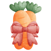 Watercolor Carrots with Bow Illustration png