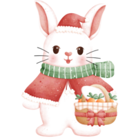 vattenfärg jul kanin illustration png