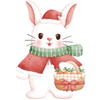 aquarelle Noël lapin illustration png