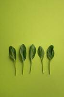 Spinach leaves on green background. Flat lay, top view photo