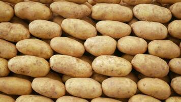 brut patates vente sur Les agriculteurs marché video