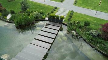 decoratief planten in een klein vijver met bomen in de omgeving van video