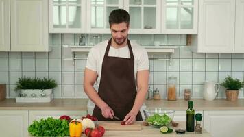 vegano cocinando, masculino cocinero, sano comiendo, comida entrega. hombre en delantal preparando vegano ensalada mientras en pie en el cocina video