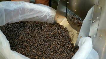 POV view of aromatic roasted brown coffee beans after coolin in special cooler after roasting and putting in coffee bean bag video