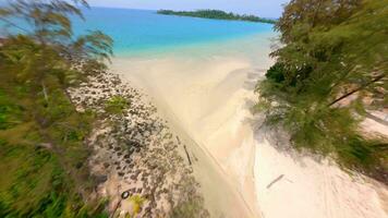 volo a partire dal dietro a palma alberi al di sopra di bianca spiaggia con il parola 2024 disegnato su sabbia video