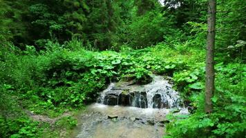 Aerial low view of small waterfall on creek at Stary mlyn in Slovakia video