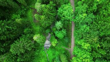 aereo superiore giù Visualizza di strada nel foresta e torrente nel slovacchia video