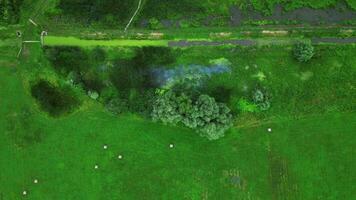 Aerial top down view of meadow and wetland in Slovakia video