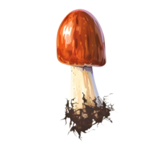 ai généré champignon avec racine png