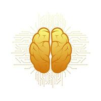 Human brain medical. Internal organ. Neural network. Brainstorming, idea. vector