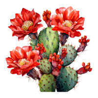 AI generated Watercolor Vibrant Cactus with Red Flowers Isolated transparent background png