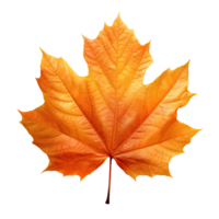 ai generiert Herbst Blatt isoliert auf transparent Hintergrund png