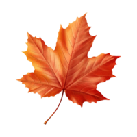 AI generated Autumn Leaf isolated on transparent background png