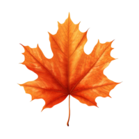 AI generated Autumn Leaf isolated on transparent background png