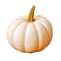 ai generado blanco calabaza aislado en transparente antecedentes png